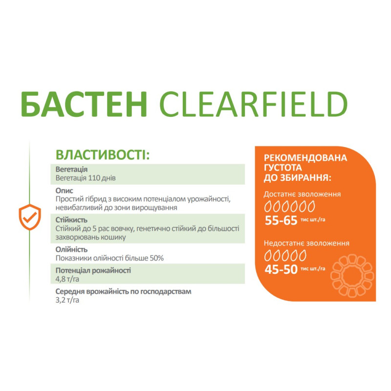 Соняшник Бастен Clearfield (Євролайтінг) DeMARCUS - стандарт