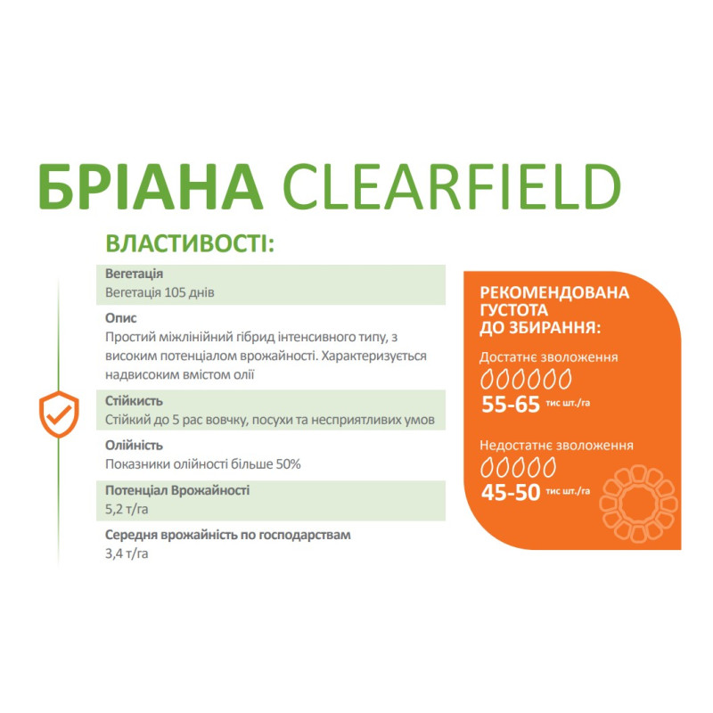 Соняшник Бріана Clearfield (Євролайтінг) DeMARCUS - стандарт
