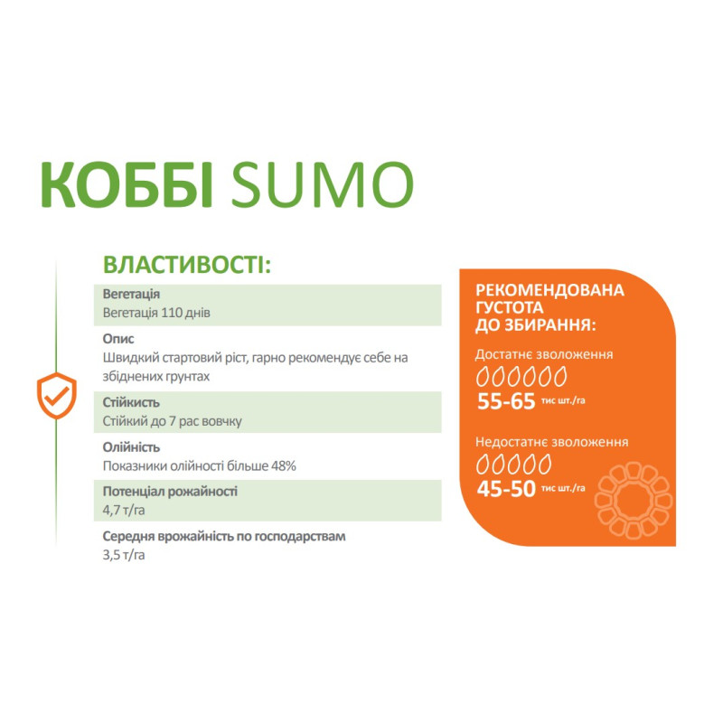 Соняшник Коббі SUMO (Гранстар) DeMARCUS - стандарт