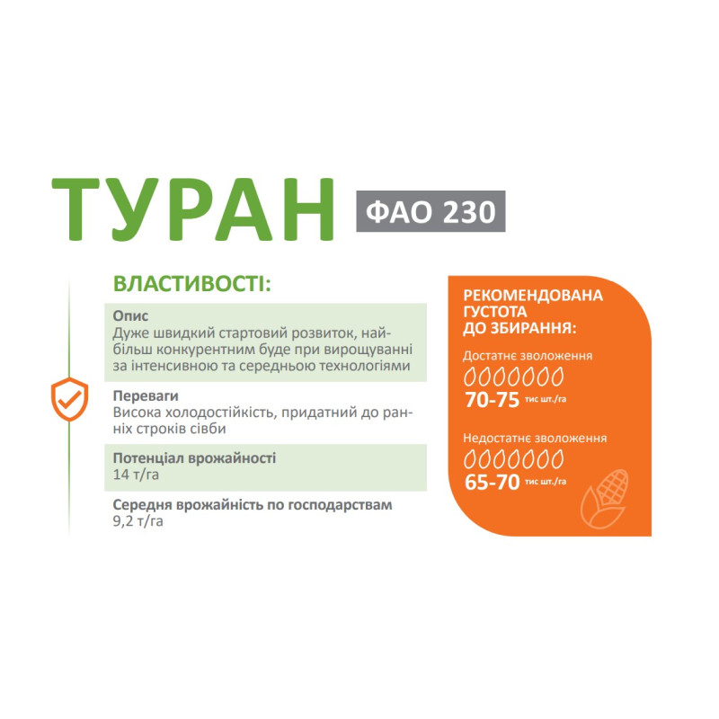 Кукурудза Туран DeMARCUS ФАО 230