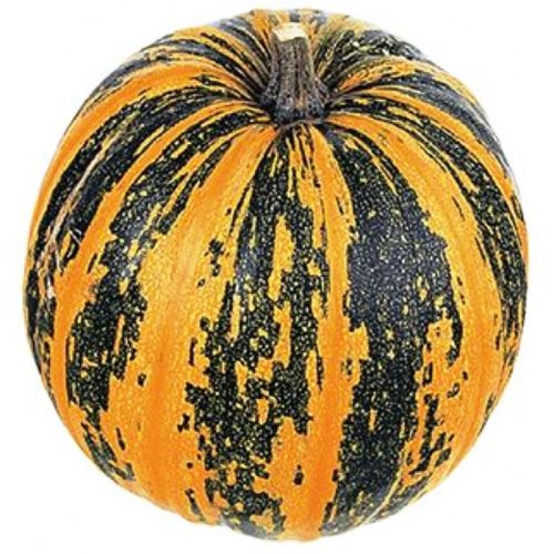 Насіння гарбуза Турка - 0,5 кг