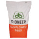 Насіння соняшника П64ЛП130.P64LP130 під Євро-Лайтинг