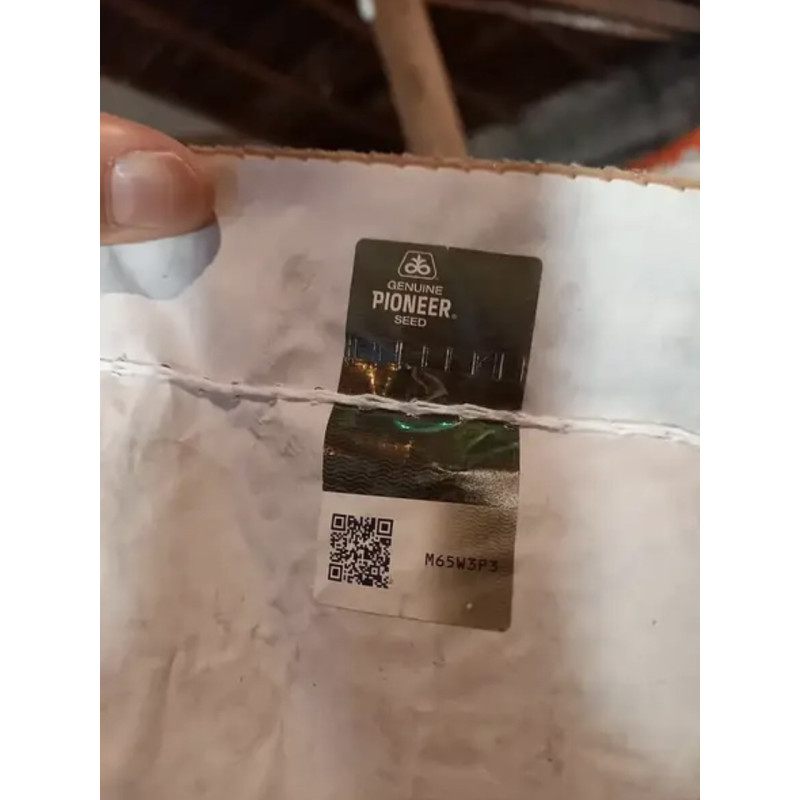 Насіння соняшника П64ЛП130.P64LP130 під Євро-Лайтинг